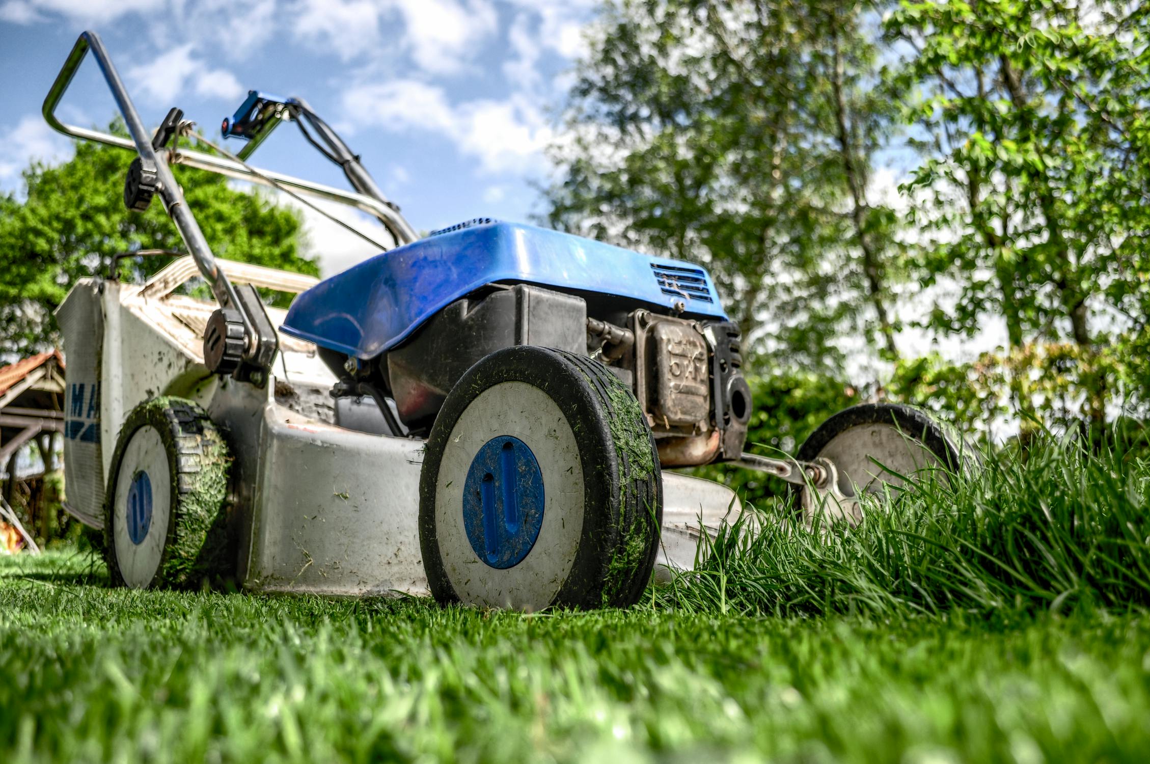 Landscape and Lawn Care: Creating Your Dream Outdoor Space
